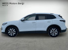 Car: Volkswagen Tiguan